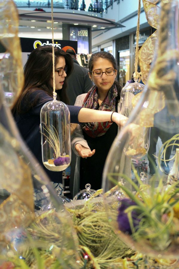Older sister and senior Butool Mustafa points out a plant terrarium to younger sister and sophomore Insia Mustafa. The Mustafa siblings run a kiosk together at the Stonebriar mall over school breaks to sell the plants.