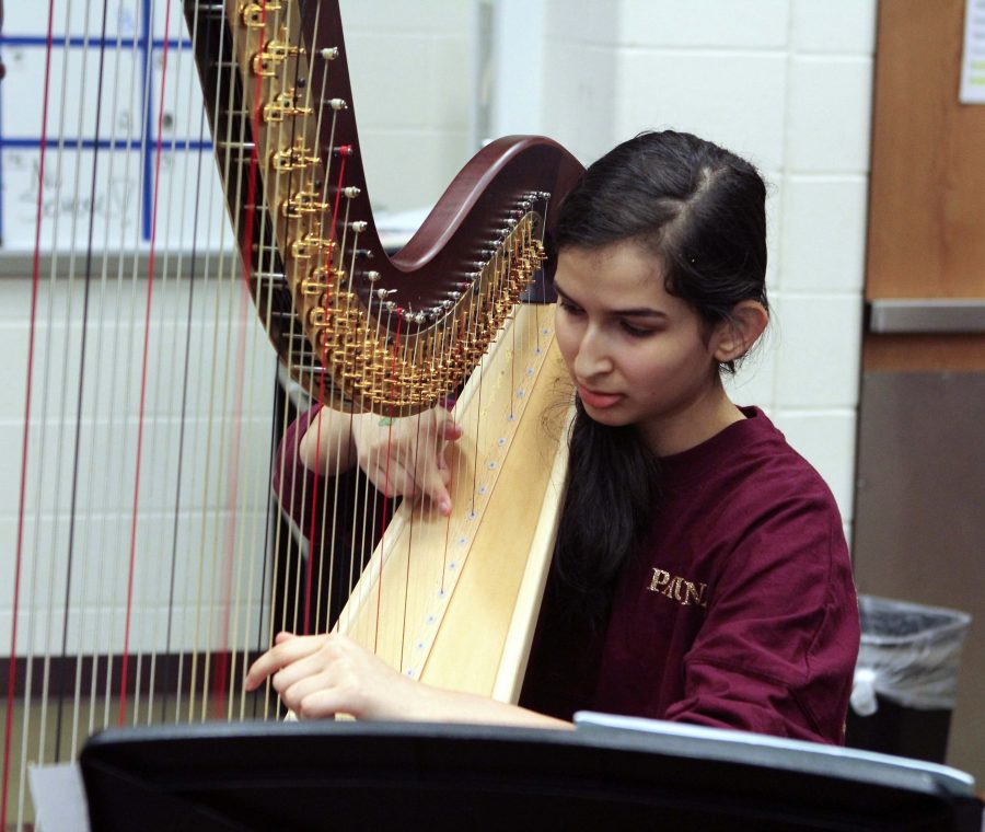 In the choir room, junior Paulina Delgadillo practices the harp for Solo and Ensemble on March 18. Paulina received first chair in the All State Orchestra and received ones, the highest rating, in both her solo and ensemble competitions.