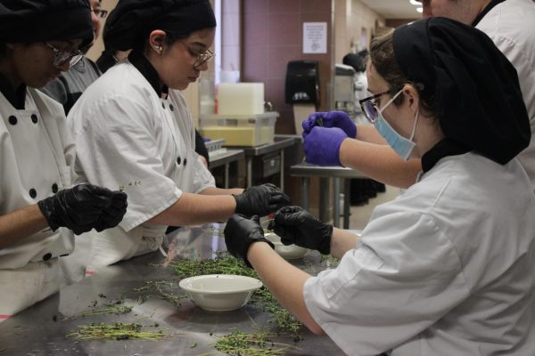 Culinary 1 students prepare Parsley leaves and garnishes for their dishes.