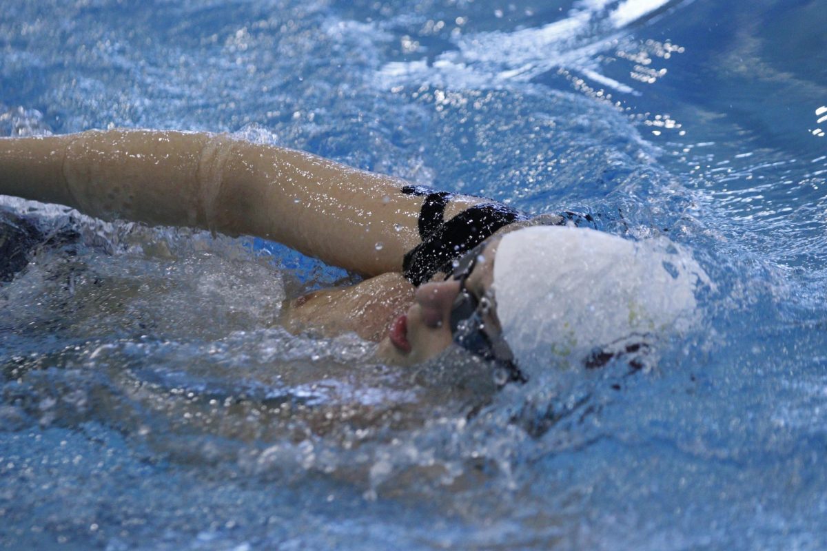  Enzo Fiorese swims at a meet in December. (Photo by Tristan Adger)